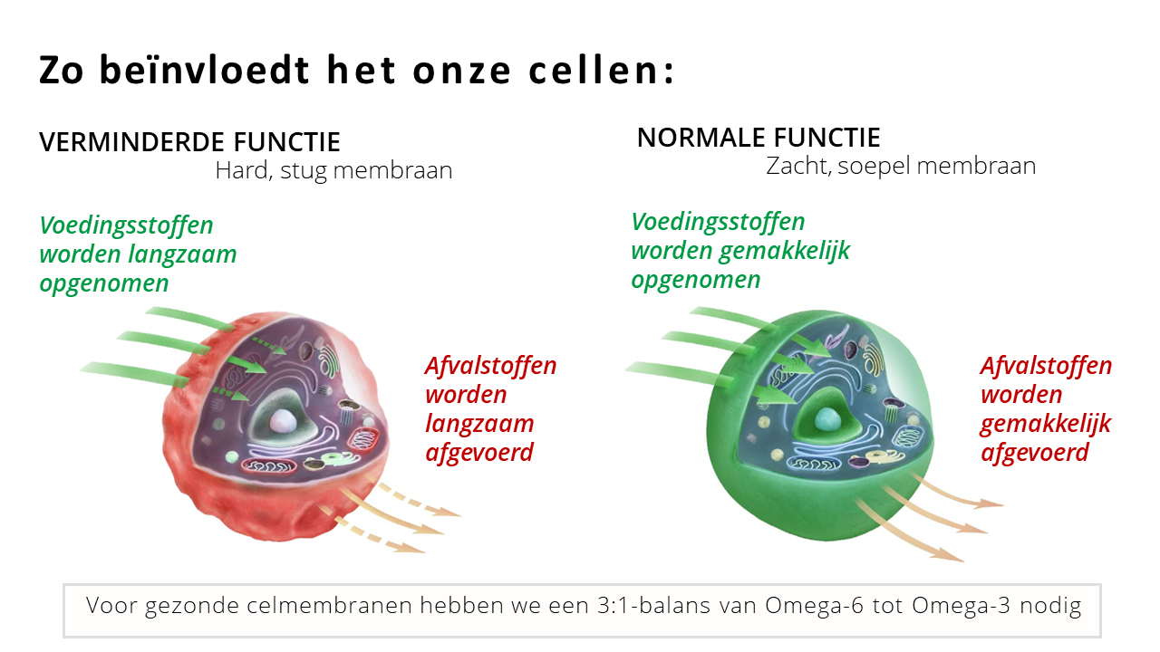 LAAGGRADIGE ONTSTEKINGEN